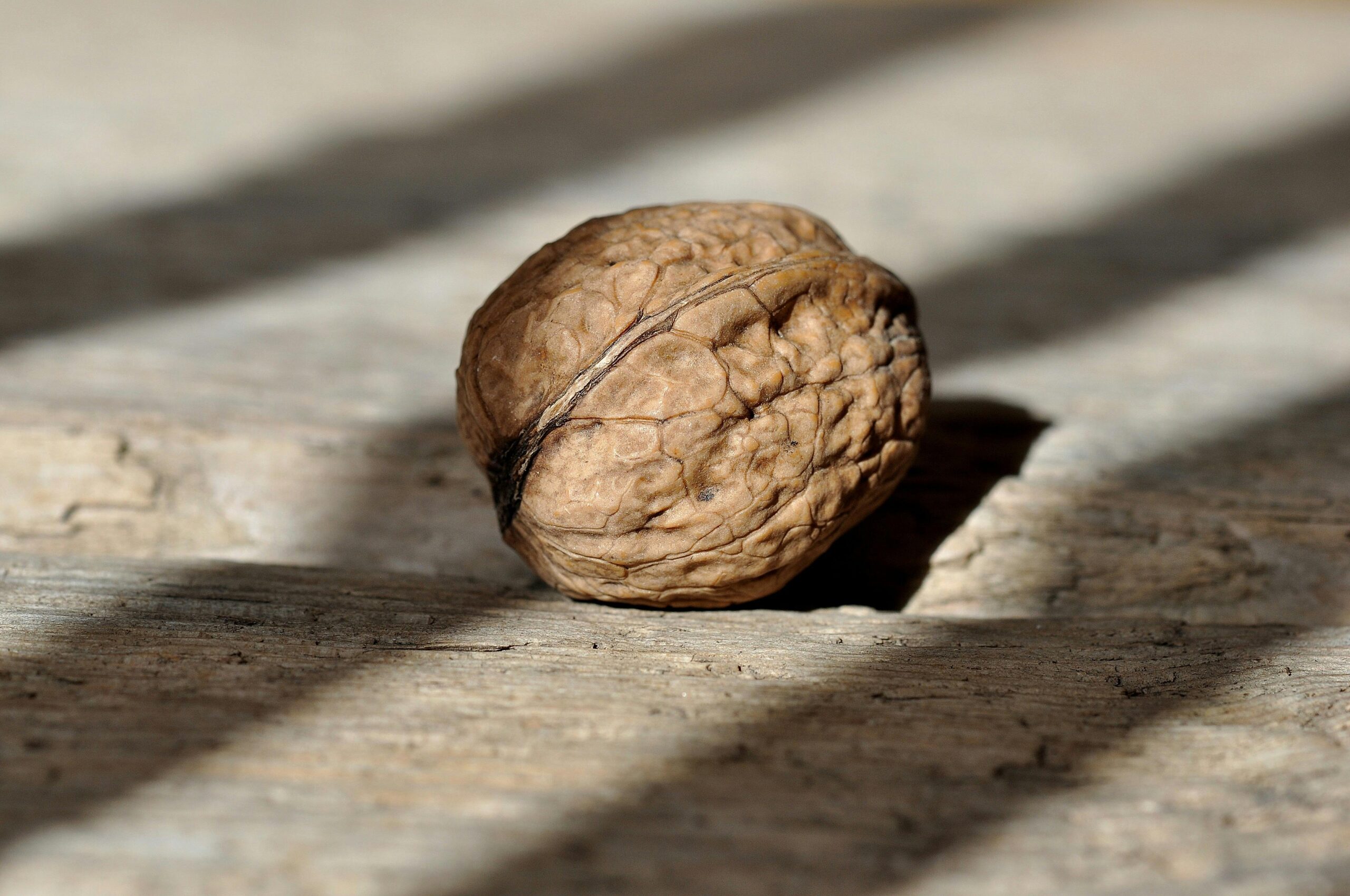 walnut-nut-fruit-bowl-healthy-38292-38292-1 Detailed close-up of a single walnut placed on a rustic wooden surface with sunlight.