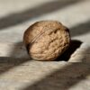 Detailed close-up of a single walnut placed on a rustic wooden surface with sunlight.
