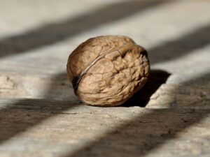 Detailed close-up of a single walnut placed on a rustic wooden surface with sunlight.